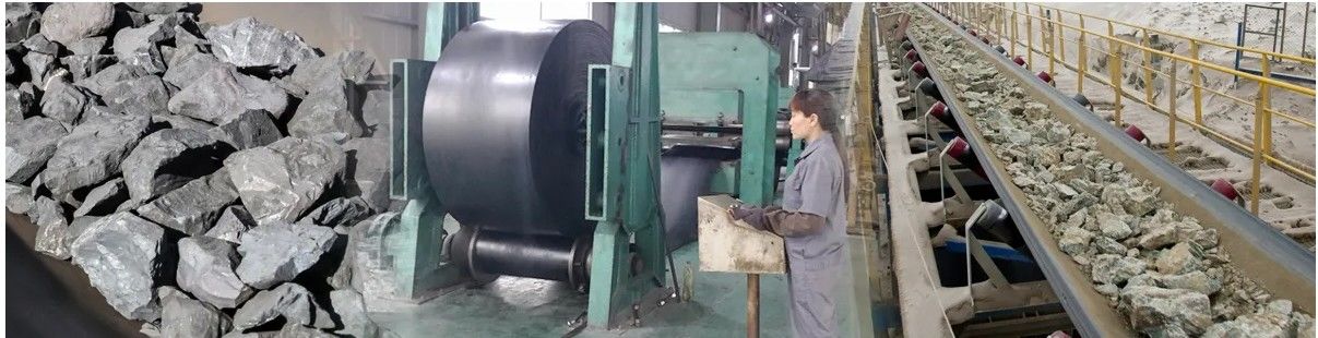 Ningbo Sinoconve Belt Co., Ltd. manufacturer production line